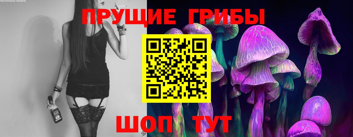 Зеленогорск  Галлюциногенные грибы Magic Shrooms  Вход с VPN  Псилоцибиновые грибы ЛСД 